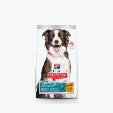 Dog Food